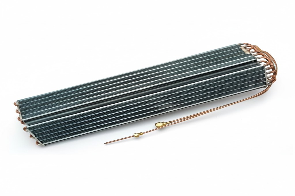 whatsapp image 2026 02 20 at 6.34.12 pm (1)